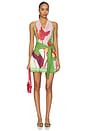 view 1 of 3 Kalea Mini Dress in Botanic