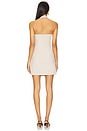 view 3 of 3 Priya Mini Dress in Beige