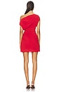 view 3 of 3 Ada Mini Dress in Spiced Apple