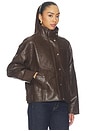 view 4 of 5 Verin Pu Jacket in Chocolate