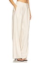 view 2 of 6 CALÇA PLISSADA EVE in Neutral