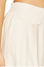 view 6 of 6 CALÇA PLISSADA EVE in Neutral