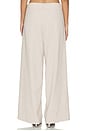 view 4 of 6 PANTALON DEENA in Beige