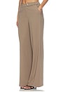 view 4 of 6 Amorey Pant in Dune