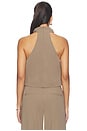 view 4 of 4 Amorey Top in Dune