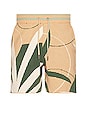 view 1 of 3 Zeppelin Short in Beige Art