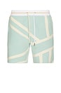 view 1 of 5 Zeppelin Short in Sea Glass & Pale Yellow