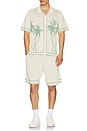 view 4 of 4 Julian Knit Button Down in Eggshell & Seaglass