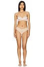 view 4 of 4 SOUTIEN-GORGE in Champagne Beige