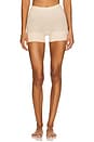 view 1 of 4 CURTINHO SPANXSCULPT SEAMLESS POWER in Soft Nude