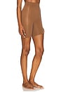 view 2 of 4 Spanxsculpt Seamless Power Short in Chestnut Brown
