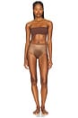 view 4 of 4 Shape Invisible Brief in Chestnut Brown