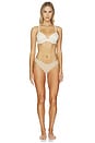 view 4 of 4 Supersmooth Brava Push-up Bra in Toasted Coconut