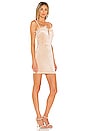 view 2 of 3 Erika Feather Trim Mini Dress in Champagne