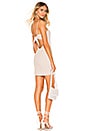 view 1 of 5 Lacy Tie Back Dress in Tan & White