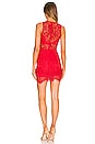 view 3 of 3 Suri Sleeveless Mini Dress in Cherry Red