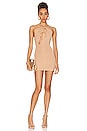 view 1 of 3 Alessandra Mini Dress in Nude