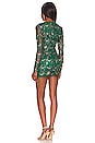 view 3 of 4 Nia Sequin Fringe Dress in Dark Green