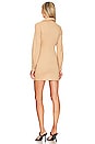 view 3 of 3 Colette Ruched Shirt Dress in Nude