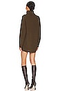 view 4 of 4 Sanja Sweater Dress in Forest Green