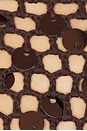 view 4 of 4 Coralie Skirt Set in Brown