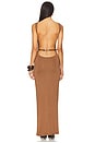 view 4 of 4 Trista Maxi Dress in Brown
