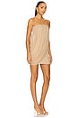 view 2 of 4 Elodie Mini Dress in Brown