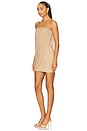 view 3 of 4 Elodie Mini Dress in Brown