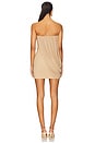 view 4 of 4 Elodie Mini Dress in Brown