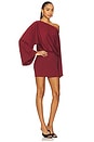 view 3 of 4 Katiya Mini Dress in Burgundy