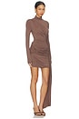view 2 of 3 Shannon Mini Dress in brown