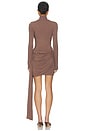 view 3 of 3 Shannon Mini Dress in brown