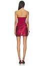 view 4 of 4 Carrie Mini Dress in Dark Red