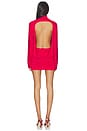 view 4 of 4 Braulia Mini Dress in Red