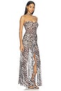 view 3 of 4 Britlee Maxi Dress in Zebra
