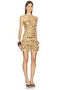 view 2 of 4 Cayenne Crochet Mini Dress in Tan