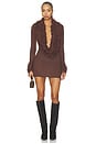 view 2 of 4 Eisley Mini Dress in Brown