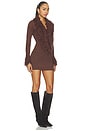 view 4 of 4 Eisley Mini Dress in Brown