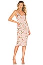 view 1 of 3 Andi Tie Back Dress in Pink Floral