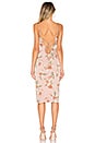 view 3 of 3 Andi Tie Back Dress in Pink Floral