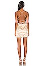 view 4 of 4 Trisha Mini Dress in Champagne
