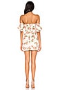 view 3 of 3 Lou Bustier Frill Dress in Nude Floral