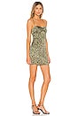view 3 of 4 Tony Lace Up Dress in Green Leopard