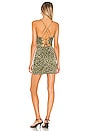 view 4 of 4 Tony Lace Up Dress in Green Leopard