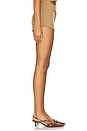 view 3 of 6 Agnes Hot Short in Camel Stripe