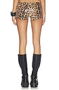view 4 of 6 Mael Sequin Short in Leopard