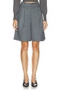 view 1 of 6 Evelina Shorts in Grey Pinstripe