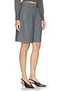 view 2 of 6 Evelina Shorts in Grey Pinstripe