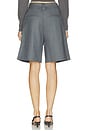 view 5 of 6 Evelina Shorts in Grey Pinstripe