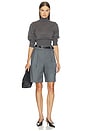 view 6 of 6 Evelina Shorts in Grey Pinstripe